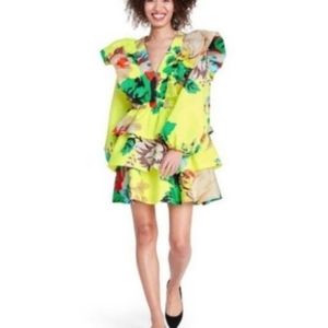 Christopher John Rogers Ruffle Dress - Size 4